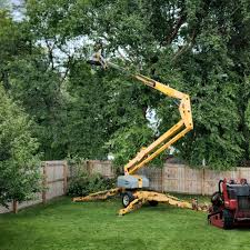 Best Lawn Irrigation Installation and Maintenance  in Eureka Mill, SC