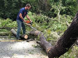 Mulching Services in Eureka Mill, SC